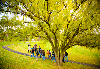 Walking Past Trees on North Campus